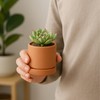 2-Pack Terracotta Plant Pots with Saucers, 3 Inch, 40-X-B-0