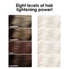 Keracolor Keracanvas Hair Bleach Kit, Complete Hair Lightening & Toning