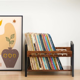 Edergoo Retro Vinyl Record Storage Rack, Metal & Wood Record Holder with Adjustable Dividers, Holds 80–100 Albums, Desktop Organizer for Records, Books & Files