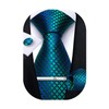 DiBanGu Plaid Ties for Men Silk Checkered Necktie and Pocket