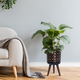 D'vine Dev 10 Inch Planter Pot with Stand, Mid-Century Tall Plant Pot with Legs for Indoor Plants, Bronze/Black, 88-G-B-6