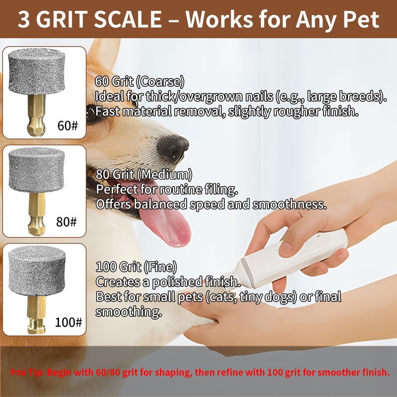 Hundenagelschleifer 80 60 100 Mesh