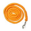 Lead rope with panic hook for horse in various stylish