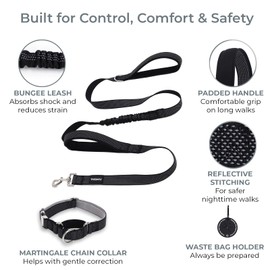 PAWZPAL 6FT Heavy Duty Bungee Dog Leash with Martingale Collar – Dual Chain & Padded Handle, Shock Absorbing, Reflective, Ideal Training Set for Small to Large Dogs Daily Walk