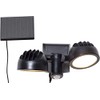 Best Season LED solar spotlight