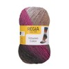 Regia Sock Wool - 6 Thread - Colour Colours -