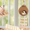 Gecko Coconut Husk Hut, Natural Coconut Shell Bird Nest with
