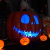 Homemory 2 Pack 33 Ft 100 LED Blue Halloween Fairy