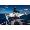 Nomad Design DTX Minnow Floating 120-4.75"