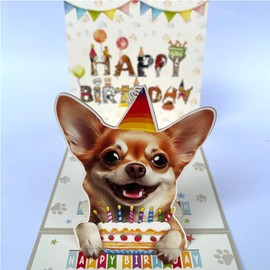 Crazytops Tricolor Chihuahua Dog 3D Birthday Funny Pop Up Cards - Yellow Chihuahua Dog Funny and Surprise Birthday Gifts - Chihuahua Happy Birthday Lovely Card