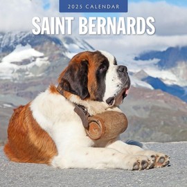 Red Robin 2025 Saint Bernards Monthly Wall Calendar | 12" x 24" Open | Premium Thick & Sturdy Paper | Hangable 12 Month Calendar | Plastic Free | 4 Month Transition Page for 2024