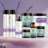 Sunny Isle Lavender Mint Hair and Strong Roots Shampoo 10.1oz
