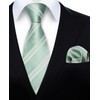 HISDERN Men's Tie Formal Stripes Tie with Pocket Square Set