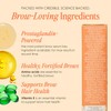 Grande Brow, 0.41 Ounce