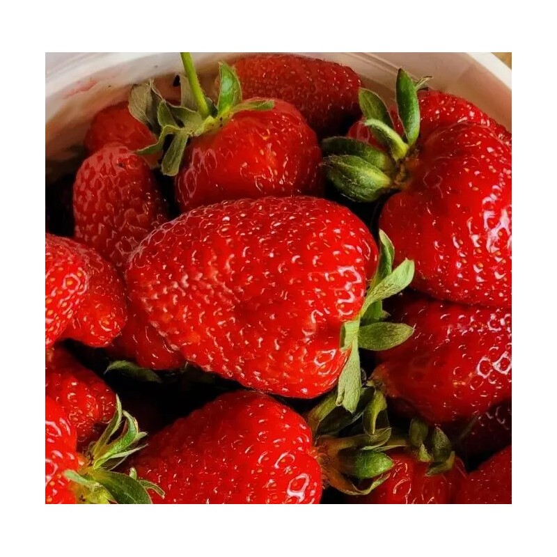 Best Delicious Ripe Sweet Strawberry Jam~Homemade~P