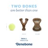 Benebone Puppy 2-Pack Dental Chew/Wishbone Chicken Small