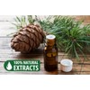 Bless-Cedar 100%-Natural-Handmade-Hand-Dipped-Incense-Sticks Organic-Chemicals-Charcoal-Free Purification-Relaxation-Positivity-Yoga-Meditation Best-Woods-Scent (500 Sticks(26 OZ))