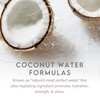 ALURAM Coconut Water Shine Serum, Frizz Elimination & Radiant Gloss