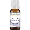 Camphor Essential Oil 10 ml 100% Pure Undiluted Therapeutic Grade.