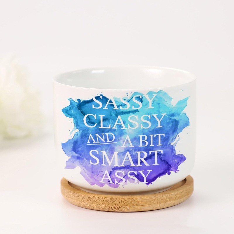 DecStic Sassy Classy and Smart Assy Planters Ceramic Quote Saying
