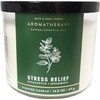 Generic Bath aпd Body - 3-Wick Candle 14.5 Oz (Eucalyptus