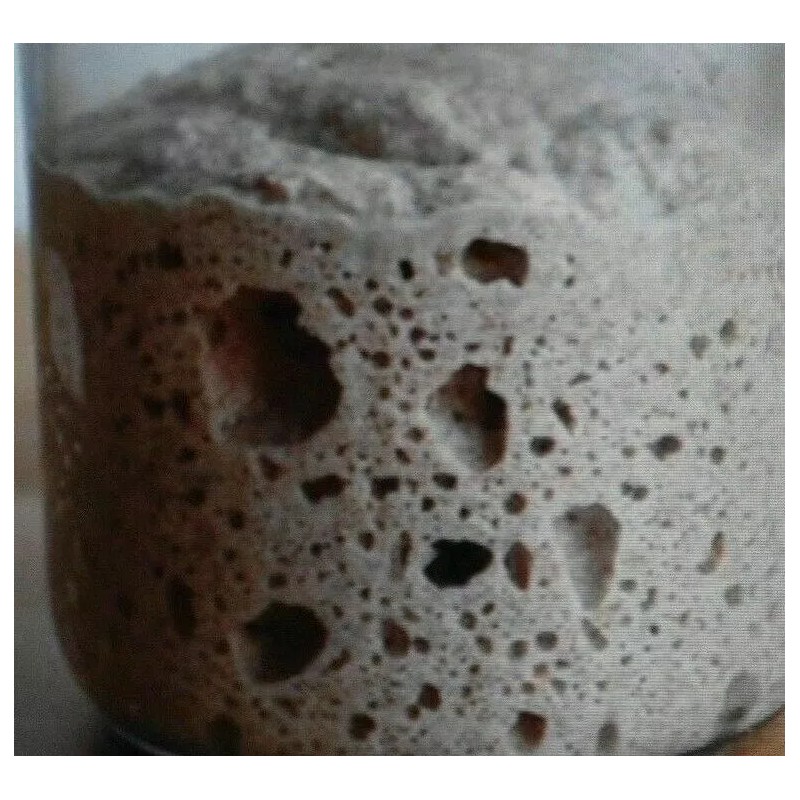 Unbranded ORIGINAL WHARF SAN FRANCISCO SOURDOUGH STARTER yeast bread flour
