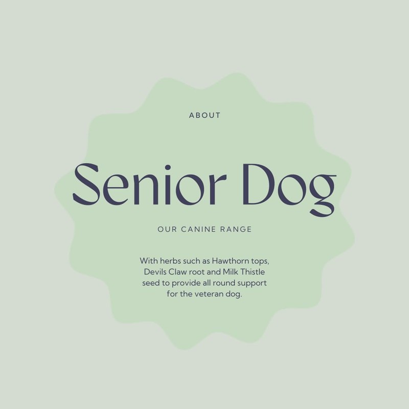 Hilton Herbs Senior Dog Natural Supplement. 100% Natural Ingredients. Supplement