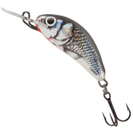 Salmo Hornet Wobbler Trout Barschwobbler, Pike Lures, Pike Fishing Lures – Trout Bait Fishing Tackle, Holographic Grey Shiner, 3.5cm / 2.2g / schwimmend / 1.0-2.6m
