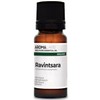 BIO - RAVINTSARA Essential Oil - 10mL - 100% Pure,