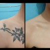 BK [비케이엠_62]가리는 커버 가리기 문신가리기 문신 가리개 [5번／FREE] BKAM_62 Cover Up Tattoo Concealer [No. 5 / FREE]