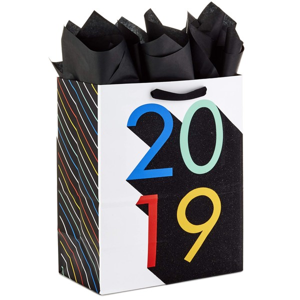 Hallmark 13" Large Gift Bag with Tissue Paper for Graduations (Rainbow, Class of 2019), 5GDJ1810