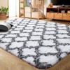LOCHAS Luxury Shag Area Rug Modern Indoor Plush Fluffy Rugs,