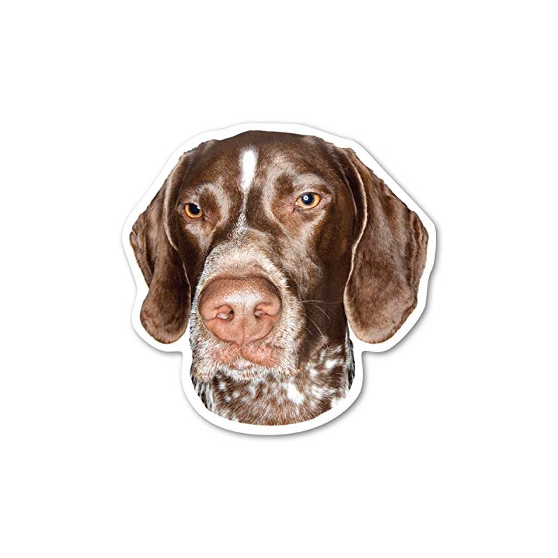 German Shorthaired Pointer Magnet by Magnet America is 4 7/8"