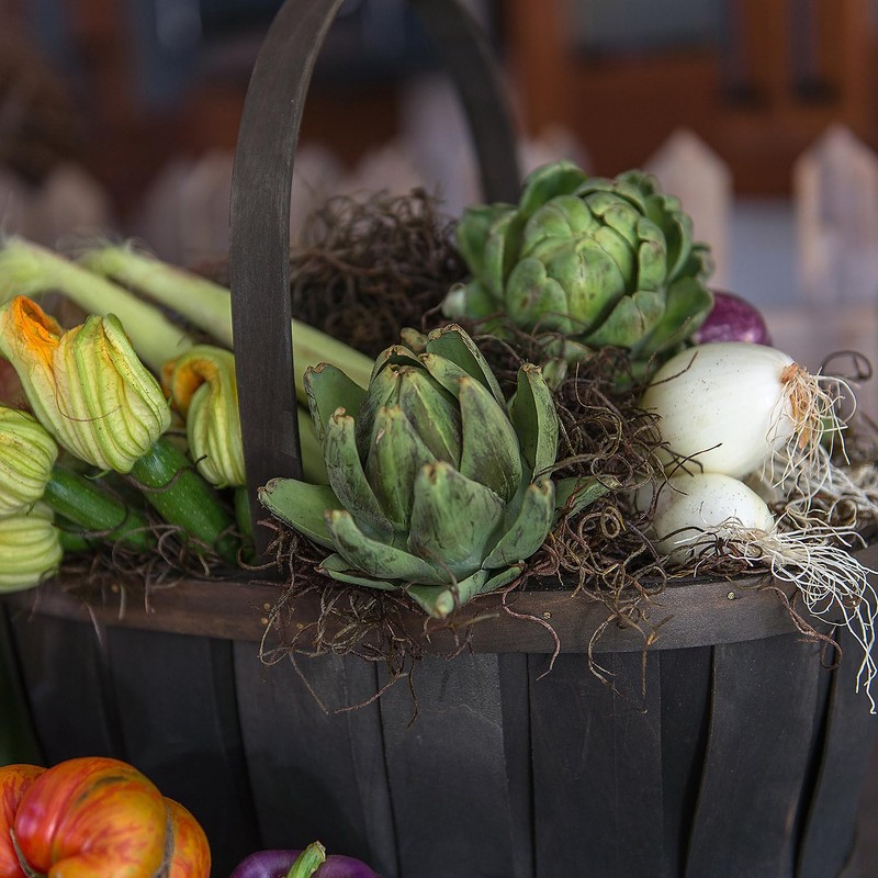 Coffee-Colored Spanish Moss 2 oz.