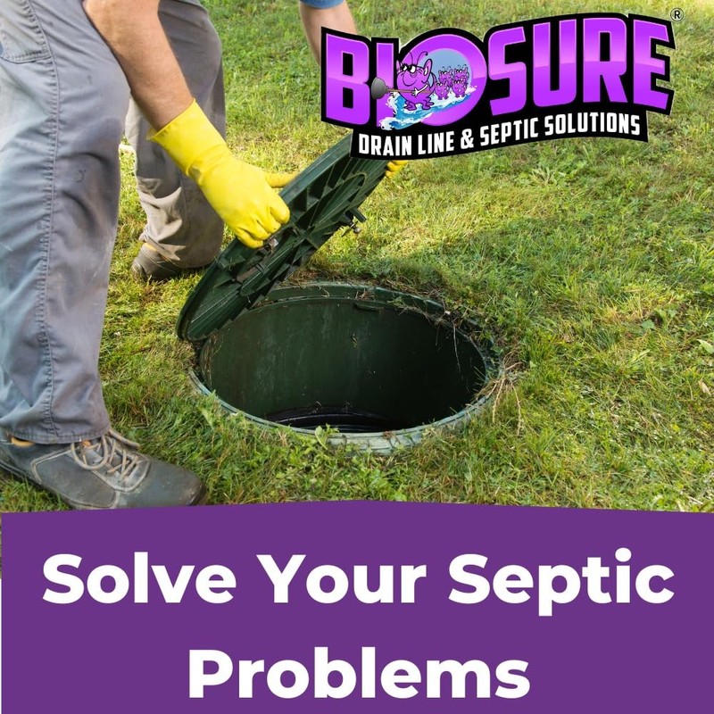 BIOSURE SeptiComplete Premium Powder: 2 lbs of Septic Tank &