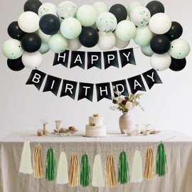 Black and Green Birthday Decorations for Women Girls, Happy Birthday Party Decorations for Men Boys with Banner, Retro Light Green Matte Black White Sand Latex Balloons, Paper Tassel Garland