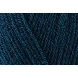 King Cole Pricewise DK Crochet Yarn, 100% Acrylic Double Knitting Wool for Toys, Sweaters, Jumpers - 100g Ball - 3454 - Tempest - Single (1 Ball)