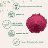 Organic Tart Cherry powder, 4oz | 100% Natural Fruit Powder