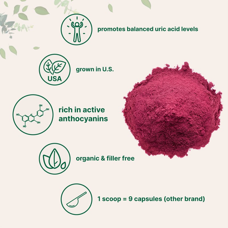 Organic Tart Cherry powder, 4oz | 100% Natural Fruit Powder