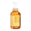 Bath and Body Sunshine & Lemons Gentle Foaming Hand Soap