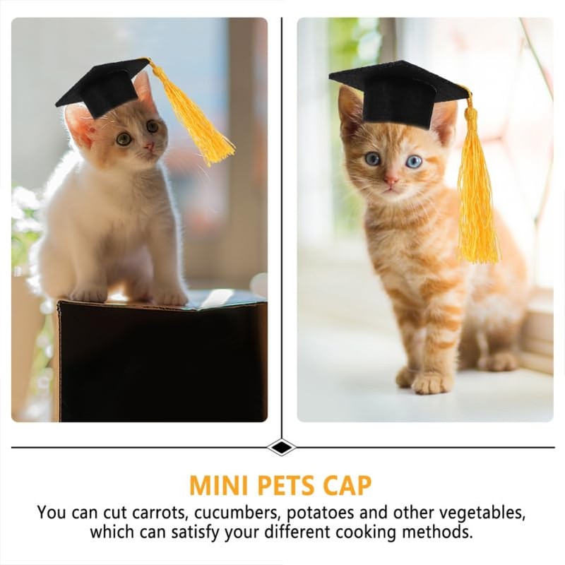 DOITOOL 4 Pieces Pet Graduation Cap Rabbit Graduation Cap Mini