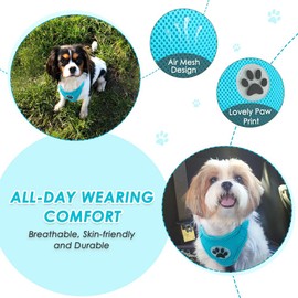 Nasjac Dog Car Harness with Seat Belts, Safety Adjustable Dog Seat Belts for Cars with Clip and Buckle, Breathable Mesh Pet Vest Harness Seatbelts with Secure Elastic Buffer for Travel