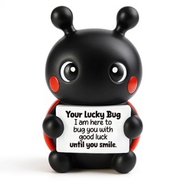 FRBFRB Ladybug Desk Figurine Gifts for Coworker Colleague Best Friends Bestie Gifts Presents for Women Mens Good Luck Birthday Christmas Emotional Positive Support Farewell Get Well Soon Easter