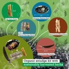 Smudging Kit - White Sage Smudge Sticks for Cleansing -