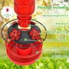 Hummingbird Feeder with Bee Guards and Ant Moat - 16