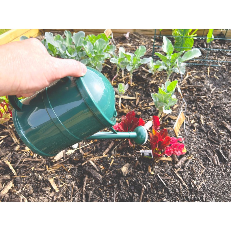 Bosmere V556G 1.5L Porous Watering Can - Green