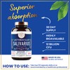 WINDSOR BOTANICALS Lactobacillus Salivarius Probiotic Capsules - L Salivarius Probiotic