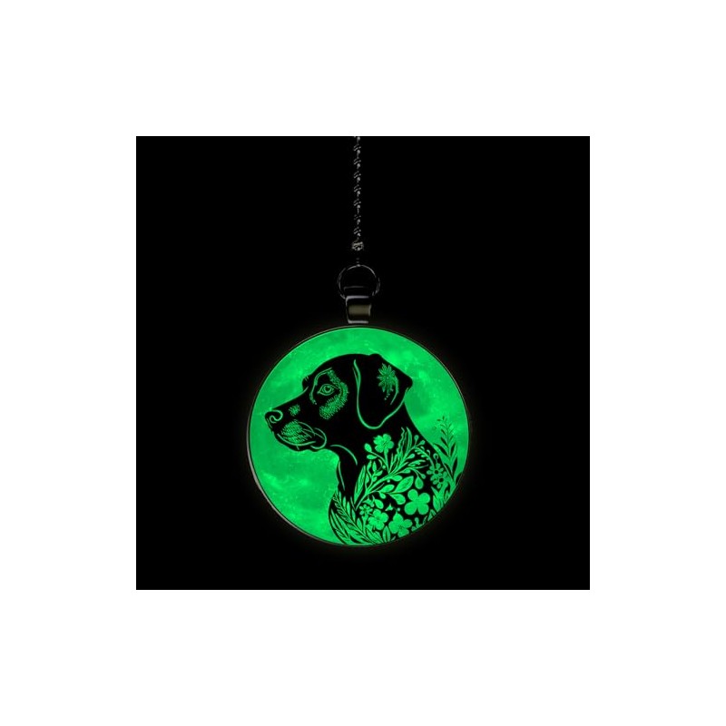 Gotham Decor Black Labrador Flower Moon Dog Breed Glow in
