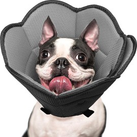IECOii Soft Dog Cone,Comfy Dog Cone for Dogs After Surgery,Adjustable Dog Neuter Cone Alternatives to Stop Licking,Pet Neck Cone Recovery Collar Dog Cones for Medium Dogs Pug,French Bulldog,Black-M