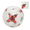 LEIJIAER Soccer Balls Size 5 Double Layer Explosion Proof Training